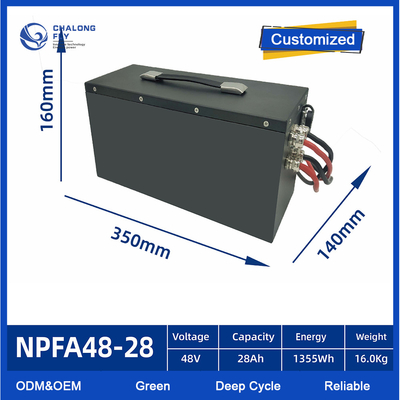 OEM ODM AGV EV Lithium Battery Pack  24V 48V 60V 72V 80V Lifepo4 With Smart BMS
