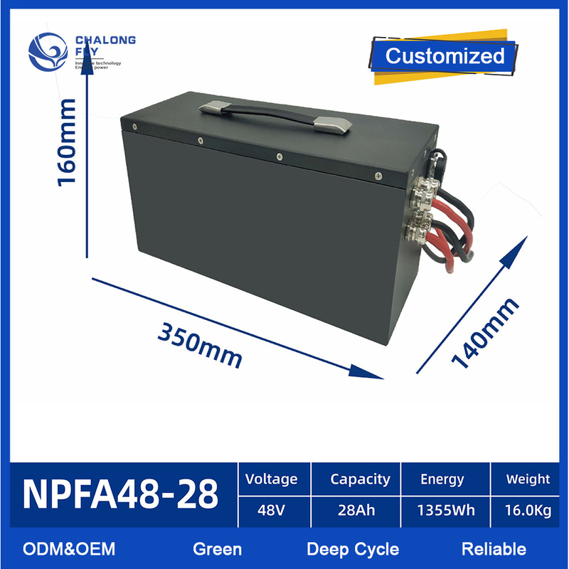 OEM ODM AGV EV Lithium Battery Pack  24V 48V 60V 72V 80V Lifepo4 With Smart BMS