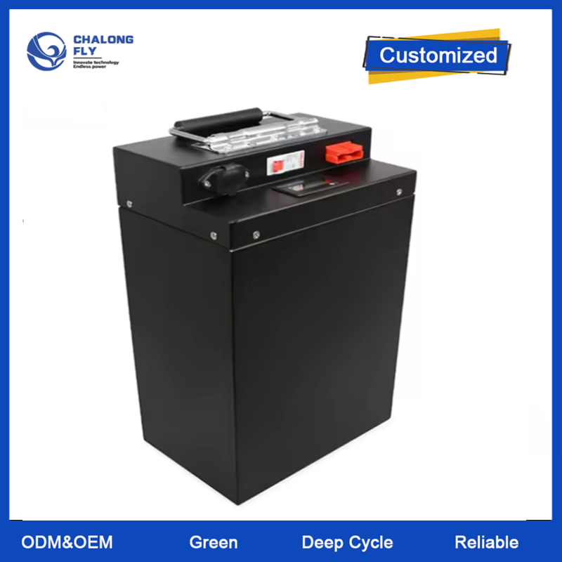 OEM ODM Customized IP67 Waterproof LiFePO4 Battery Pack with 3000 Cycles for Electric Motorcycles and Boats