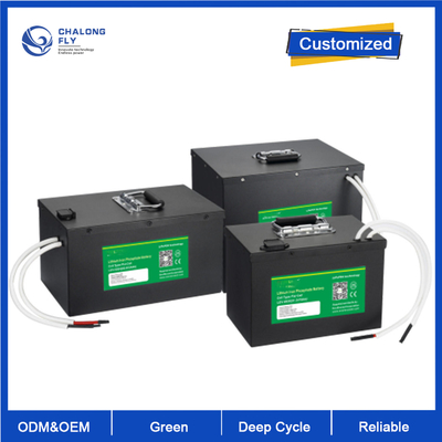 OEM ODM LiFePO4 Lithium Battery Packs AGV Kendaraan Berpandu Otomatis Sistem 24v 80v