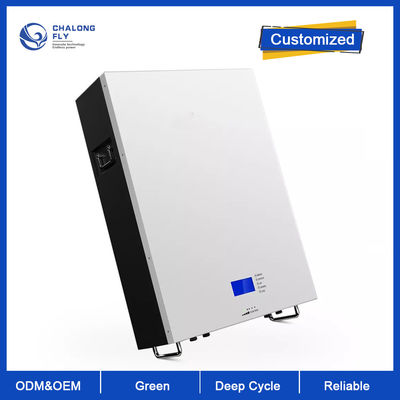 LiFePO4 Lithium Battery Deep Cycle OEM ODM 48V 100AH 200AH 300AH Powerwall Storage Solar Energy Lithium Battery Packs