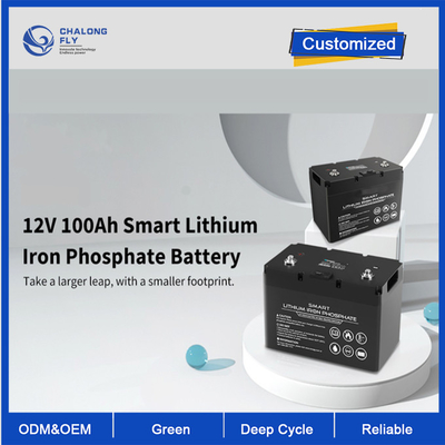 Baterai Lithium OEM ODM LiFePO4 Baterai Lithium 12V 100Ah Baterai Lithium Cerdas Siklus Dalam Paket Baterai Lithium Yang Disesuaikan