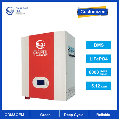 Lifepo4 Lithium Ion Battery Pack Powerwall Wall Mounted Battery 48V 100Ah 12V Deep Cycle Battery untuk Rumah Tinggal