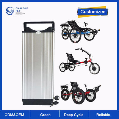 Baterai Lithium LiFePO4 Kustom 24V 36V 48V Baterai Trike Listrik Telentang 20AH-120AH Paket Baterai Sepeda Roda Tiga Listrik