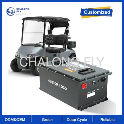 200V 300Ah LiFePO4 Baterai Kilang      Solusi Daya Traksi Industri