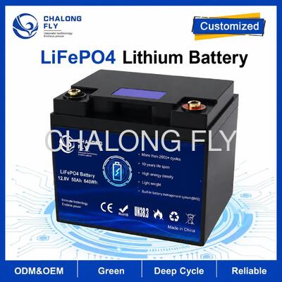 Paket Baterai LiFePO4 Kustom 12.8V 50Ah dengan BMS Terpasang untuk RV Campervan dan Daya Tambahan