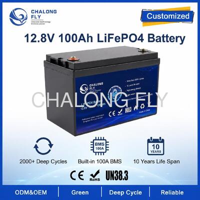 Paket Baterai LiFePO4 Kustom 12.8V 100Ah dengan BMS untuk Lampu Jalan Tenaga Surya dan Daya Bantu RV