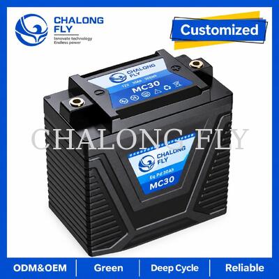 12.8V 5Ah LiFePO4 Motorcycle Starter Battery 300A untuk Penggantian Timah-Asam 814Ah