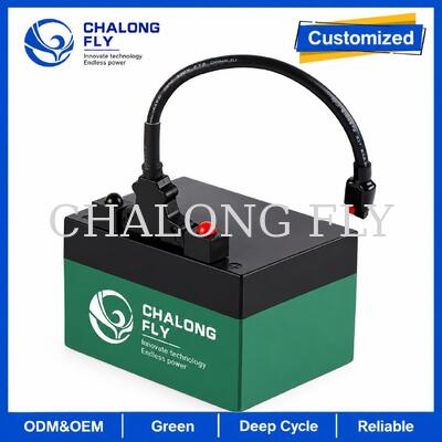 12.8V 18Ah 24Ah LiFePO4 Golf Trolley Baterai dengan T-Bar Konektor