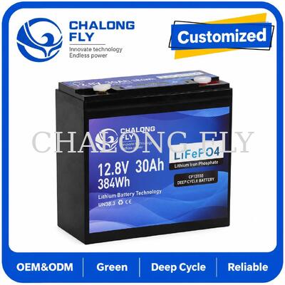 12.8V 30Ah LiFePO4 Deep Cycle Battery dengan 384Wh Energi dan Smart BMS untuk Sistem 12V