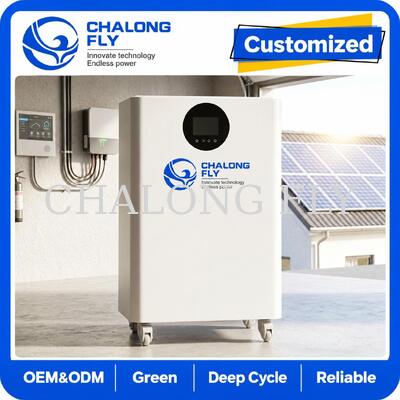 16kWh LiFePO4 All-in-One Solar ESS dengan Inverter Hybrid 12kW untuk Sistem Penyimpanan Energi Perumahan
