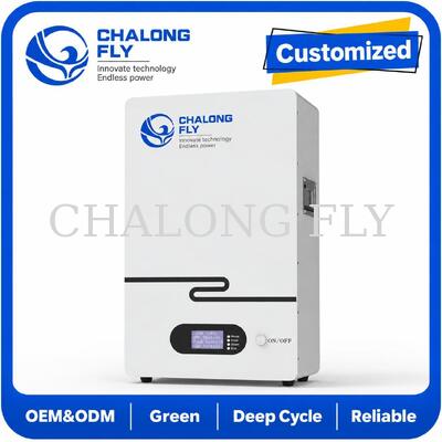 Sistem Penyimpanan Energi LiFePO4 51.2V Terpasang di Dinding untuk Daya Cadangan Baterai Surya Rumah
